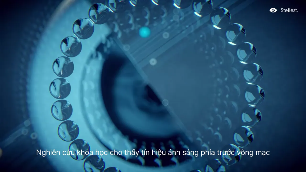 Cận cảnh các vi thấu kính trên mặt trước tròng Stellest